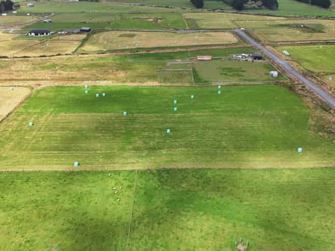 35 Dairy Way, Seaward Bush