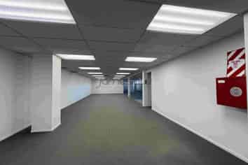 Modern Wairau Office with Huge Exposure