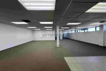 Modern Wairau Office with Huge Exposure