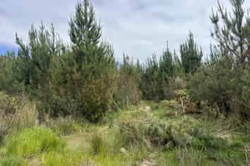  Marsden Road, Marsden