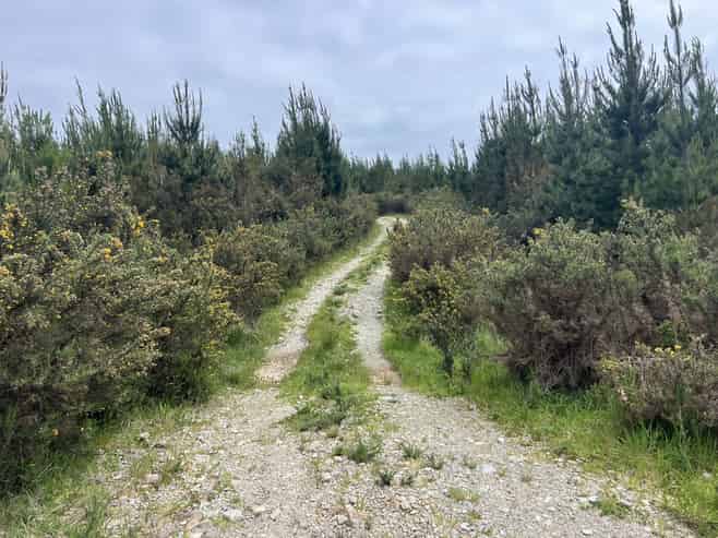  Marsden Road, Marsden