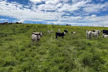 10 Four Mile Creek Road, Te Houka
