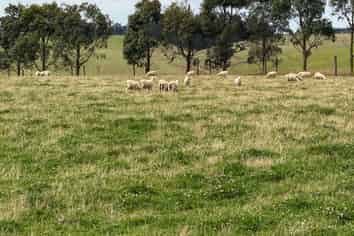 10 Four Mile Creek Road, Te Houka