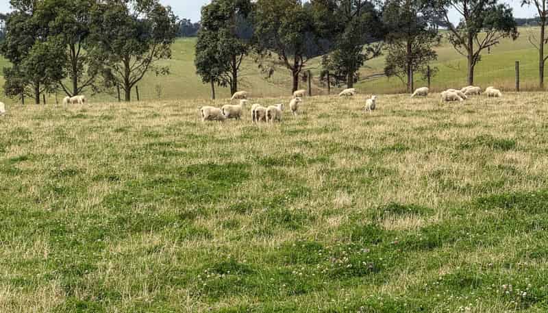 10 Four Mile Creek Road, Te Houka