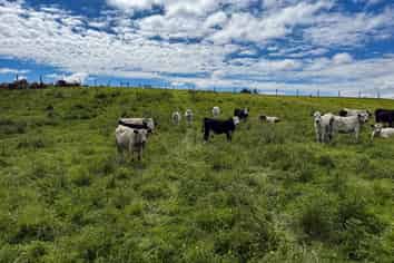 10 Four Mile Creek Road, Te Houka