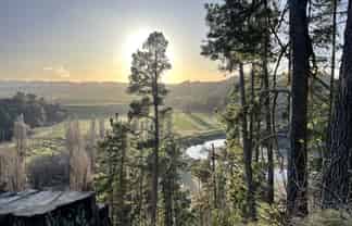 1019 Dartmoor Road, Puketapu