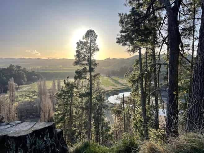 1019 Dartmoor Road, Puketapu