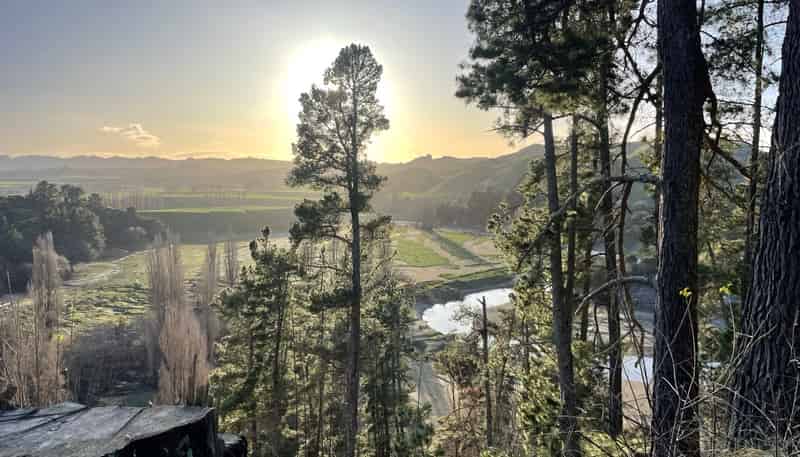 1019 Dartmoor Road, Puketapu