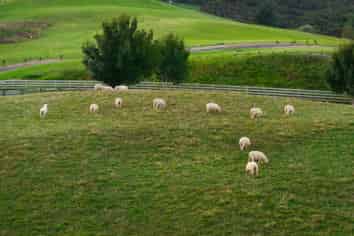 1 Ngaire Close, Wainui