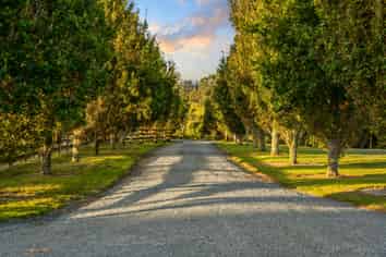 1 Ngaire Close, Wainui