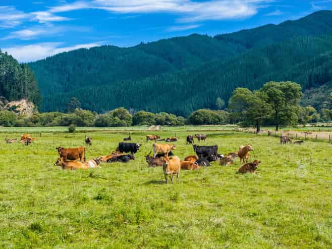  State Highway 1, Koromiko