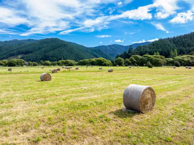  State Highway 1, Koromiko