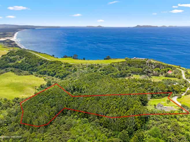 65 M Greenwood Road, Leigh