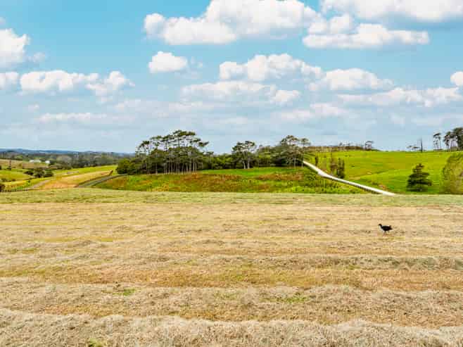 259 Tawa Road, Kumeu