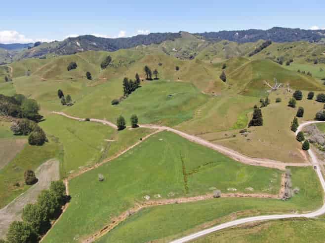 967 Ohura Road, Aria