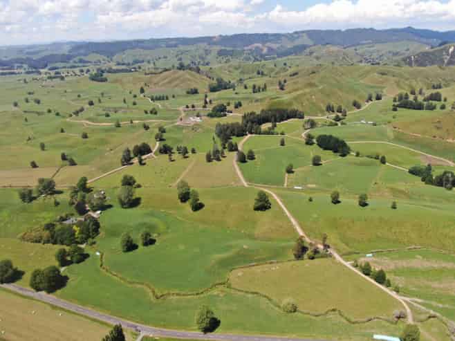 967 Ohura Road, Aria