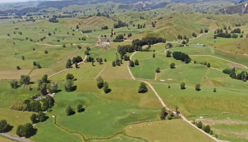 967 Ohura Road, Aria