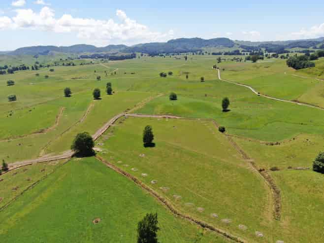 967 Ohura Road, Aria