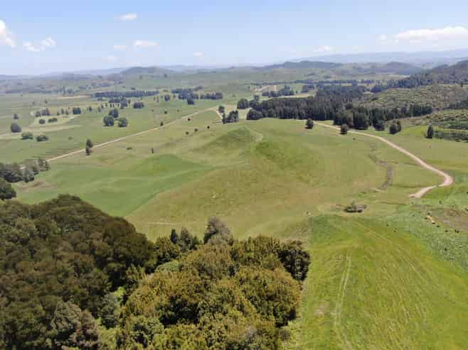 24 Pukeuha Road, Aria