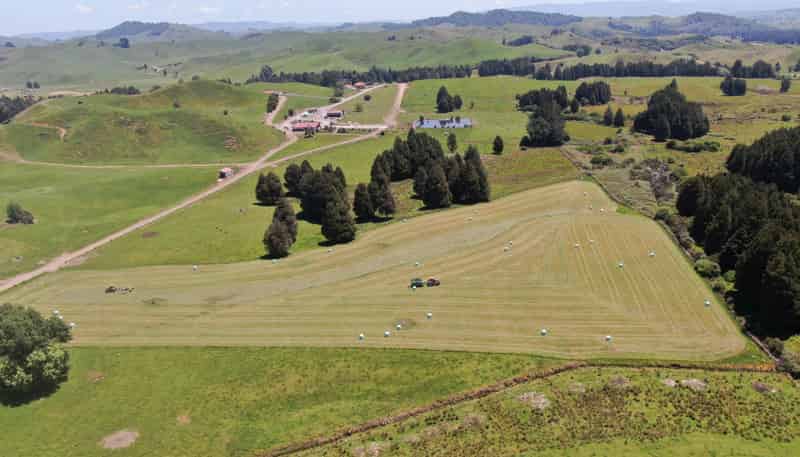 24 Pukeuha Road, Aria