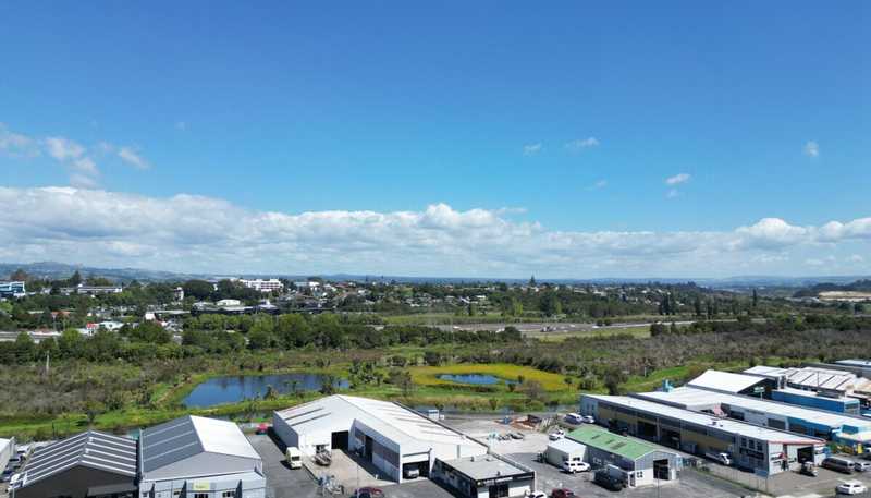 66 Birch Avenue, Judea