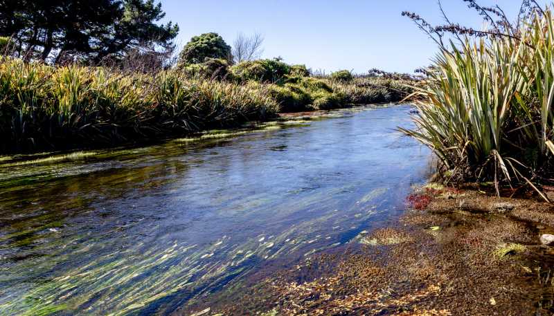 340 Ruatapu Road, Hokitika