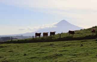 102 Manu Road, Te Popo