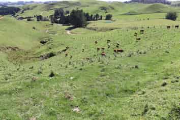 102 Manu Road, Te Popo