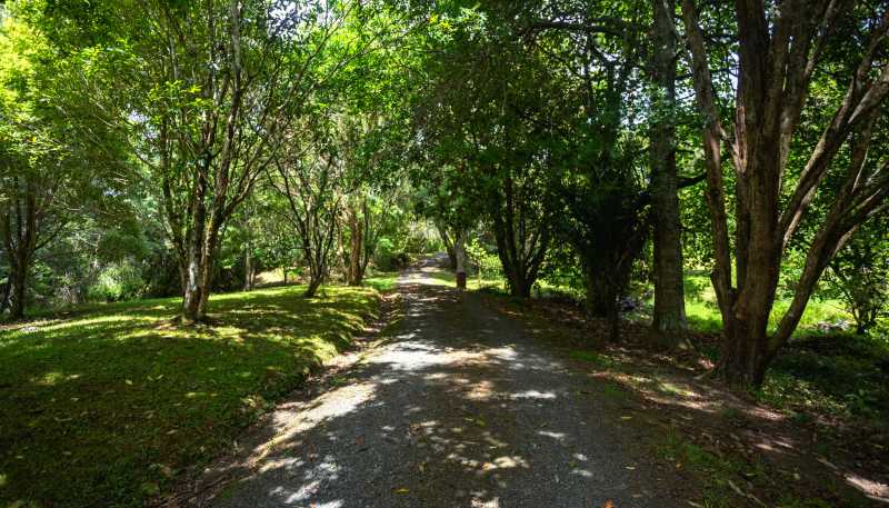 5 Yarborough Street, Kohukohu