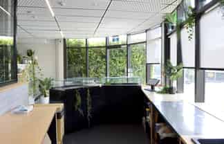 Boutique CBD Café / Retail Opportunity