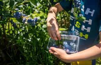 160 Tadmor Valley Road, Tapawera