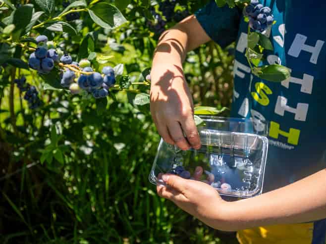 160 Tadmor Valley Road, Tapawera