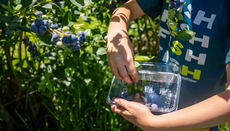 160 Tadmor Valley Road, Tapawera