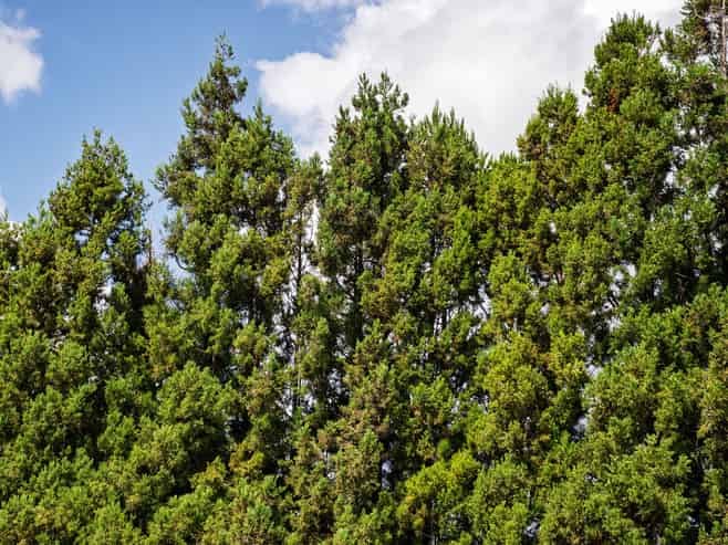 2 Wade Place, Welcome Bay