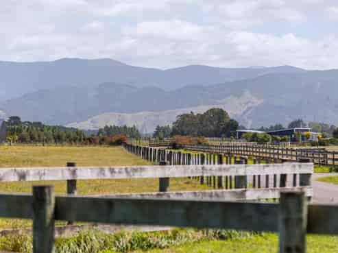 22 Spencer Lane, Greytown