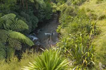 105 Adler Drive, Ohauiti
