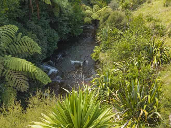 105 Adler Drive, Ohauiti