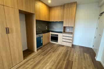 202/48 Clay Works Lane, New Lynn