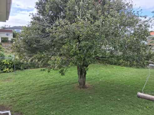 2/9 Duke Street , Three Kings