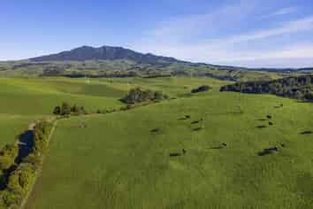 535 Maungatawhiri Road, Raglan