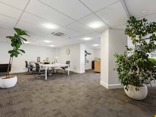 Mount beachside boutique office at "Eleven"