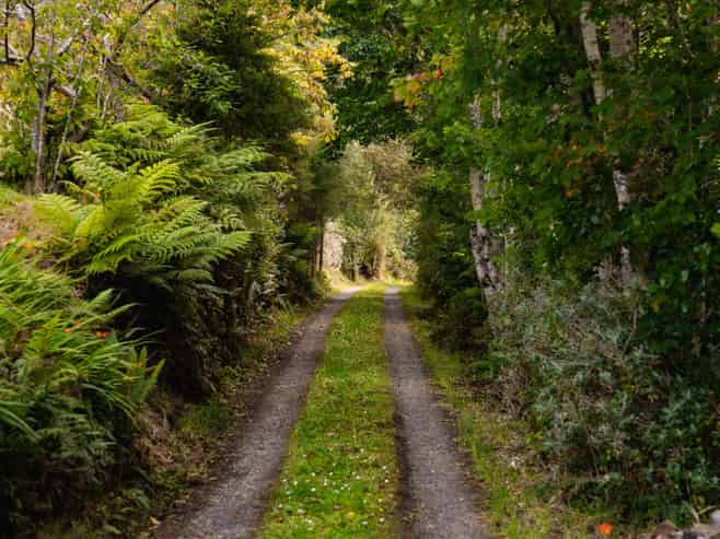 30 Ruru Avenue, Saint Leonards