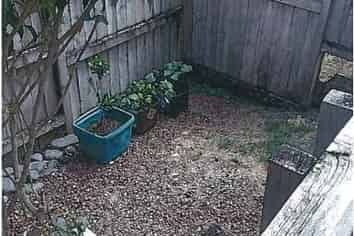 10B/18 The Avenue, Albany