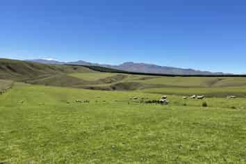 LEASE 540 Four Mile Road and 482 Longdale Road, Hyde