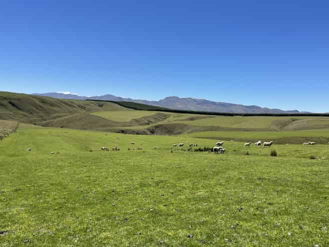 LEASE 540 Four Mile Road and 482 Longdale Road, Hyde