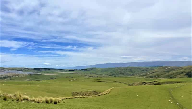 LEASE 540 Four Mile Road and 482 Longdale Road, Hyde