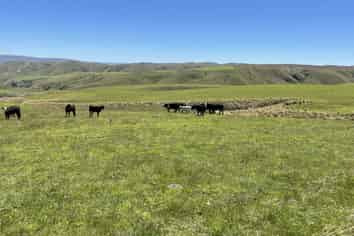 LEASE 540 Four Mile Road and 482 Longdale Road, Hyde