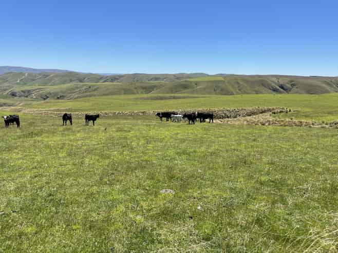 LEASE 540 Four Mile Road and 482 Longdale Road, Hyde