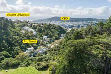 C/1 Holloway Road, Aro Valley