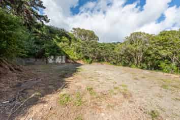 C/1 Holloway Road, Aro Valley